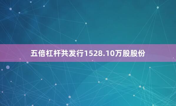 五倍杠杆共发行1528.10万股股份