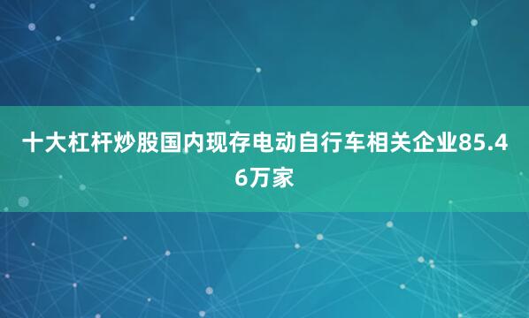 十大杠杆炒股国内现存电动自行车相关企业85.46万家