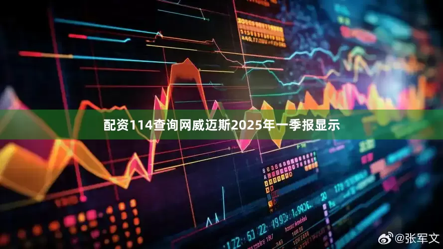 配资114查询网威迈斯2025年一季报显示