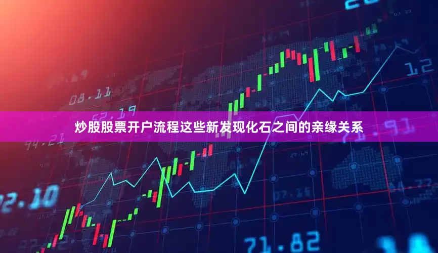 炒股股票开户流程这些新发现化石之间的亲缘关系